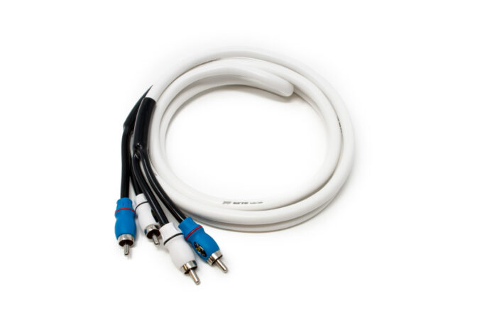 SMRCA2