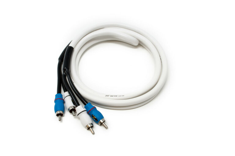 SMRCA2