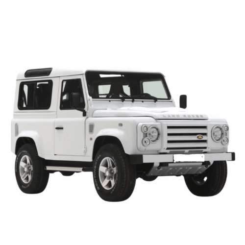 DEFENDER 2010>