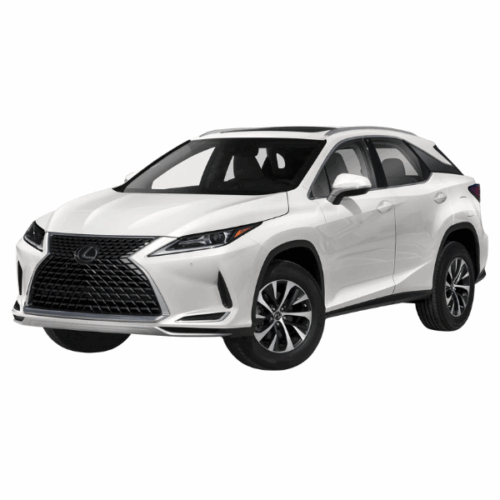 RX300 2020-2021