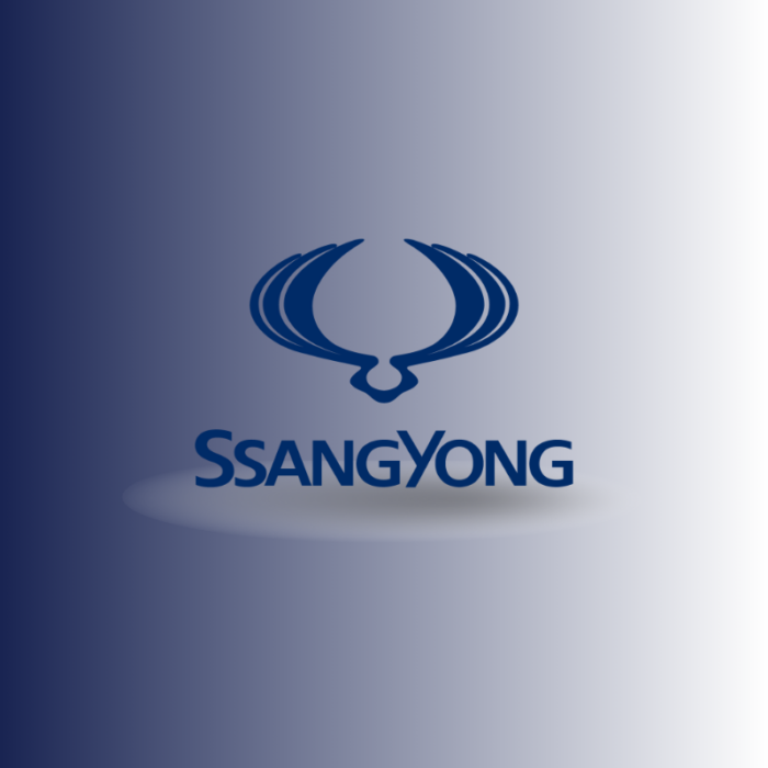 SSANGYONG