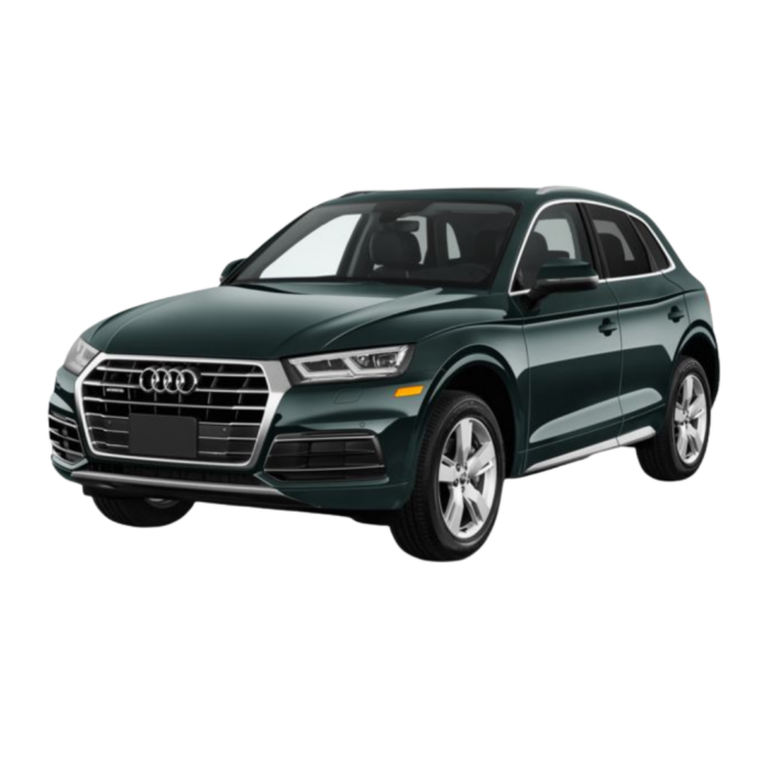 Q5 2009-2019